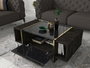 Hanah Home Veyron Mesa de Centro Negro y Dorado